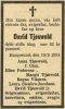 Obituary_David_Johan_Tjøswold_1934_1